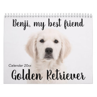 Golden Retriever Calendar 2023
