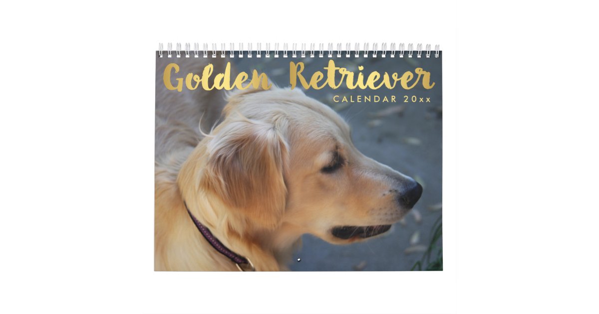 Golden Retriever Calendar 2023 Personalized Photos Zazzle golden-retriever-calendar-2023-personalized-photos-zazzle