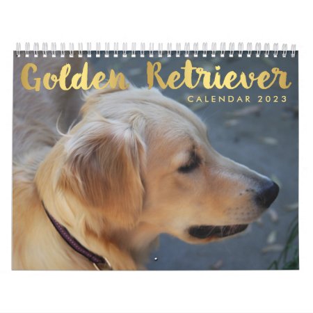 Golden Retriever Calendar 2023 Photos