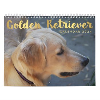 Golden Retriever Calendar 2024 Photos by online_store at Zazzle