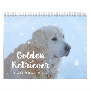 Golden Retriever Calendar 2026 Monthly