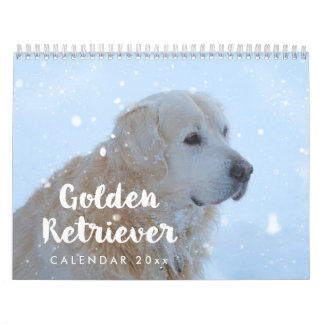 Golden Retriever Calendar 2026 Monthly