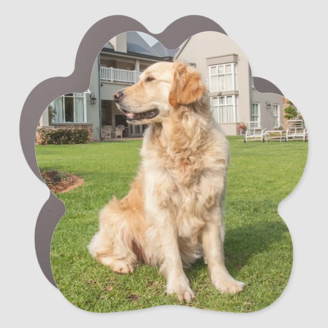 Golden Retriever Car Magnet (Front)