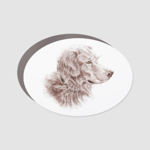 Golden Retriever Car Magnet