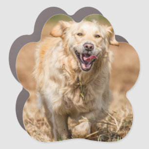 Golden Retriever Car Magnet