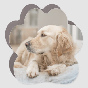 Golden Retriever Car Magnet
