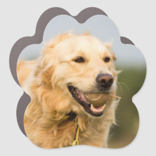 Golden Retriever Car Magnet