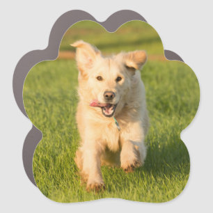 Golden Retriever Car Magnet