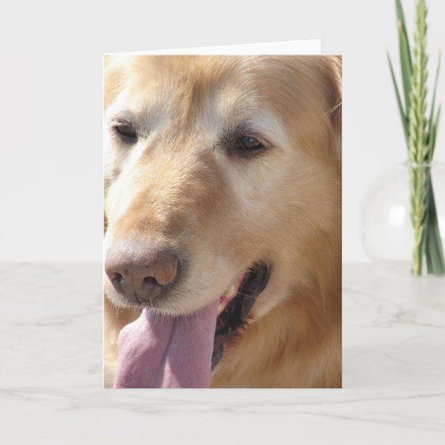 Golden Retriever Card (Front)