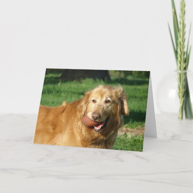 Golden Retriever Card (Front)