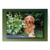 Golden Retriever Card - "Beautiful Bailey" (Front Horizontal)
