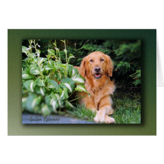 Golden Retriever Card - "Beautiful Bailey"