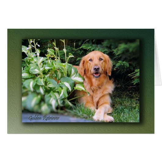 Golden Retriever Card - "Beautiful Bailey" (Front Horizontal)