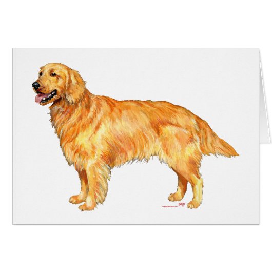 Golden Retriever Cards (Front Horizontal)