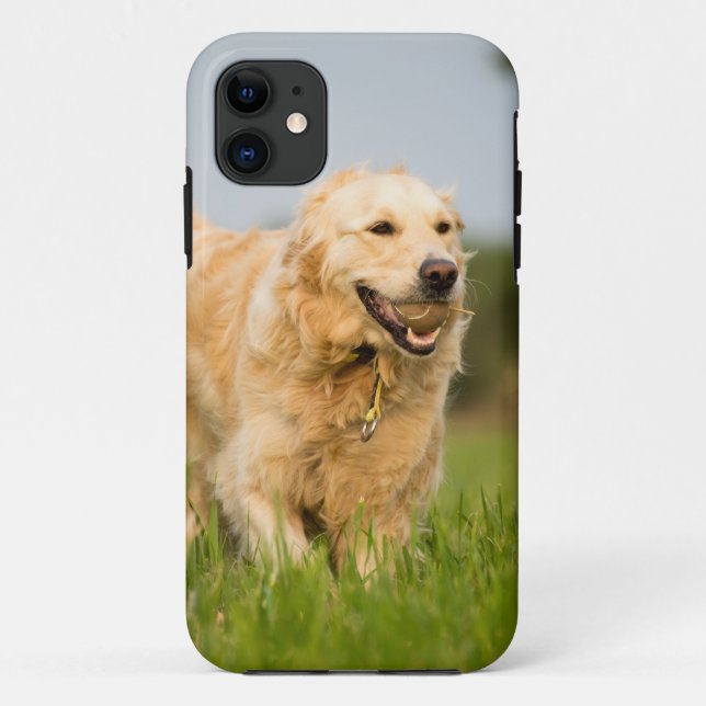 Golden Retriever Case-Mate iPhone Case (Back)