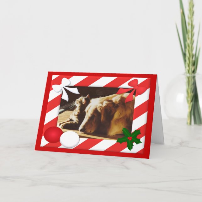 Golden Retriever-Cat Christmas Card Frame (Front)