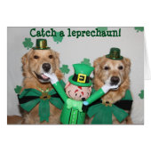 Golden Retriever Catch a Leprechaun (Front Horizontal)