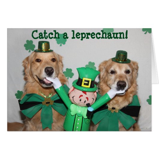 Golden Retriever Catch a Leprechaun (Front Horizontal)
