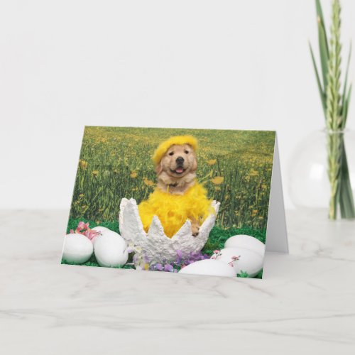Golden Retriever Chick in Cracked Open Egg Easter Holiday Card