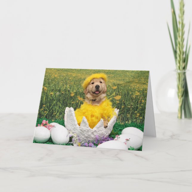 Golden Retriever Chick in Cracked Open Egg Easter Holiday Card (Front)