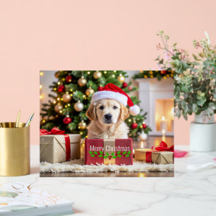 Golden Retriever Christmas Acrylic Sign
