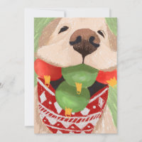 Golden Retriever Christmas Balls Mouth Funny