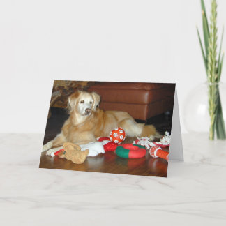 Golden Retriever Christmas Card