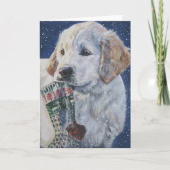 Golden Retriever Christmas Card | Zazzle