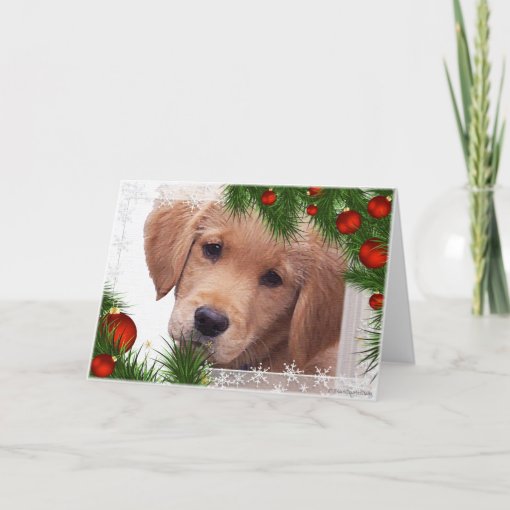 Golden Retriever Christmas Card | Zazzle