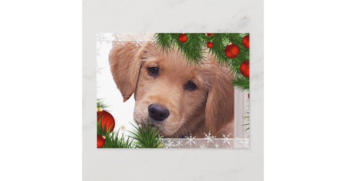 Golden Retriever Christmas Card - Puppy Cute Dog | Zazzle