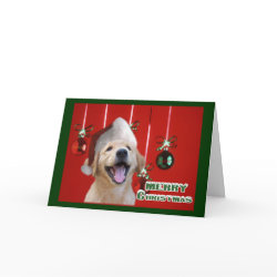 Golden Retriever Christmas Cards Gifts card