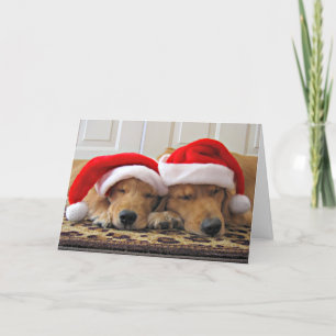 Golden Retriever Christmas Dreams Holiday Card