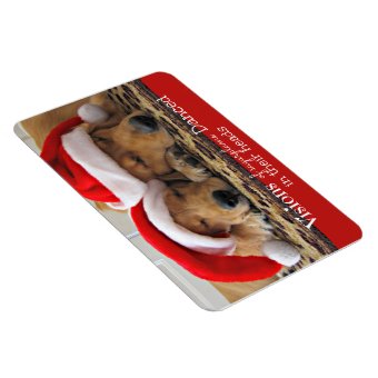 Golden Retriever Christmas Dreams Magnet | Zazzle