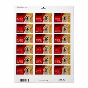Golden Retriever Christmas Gift or Address Labels | Zazzle