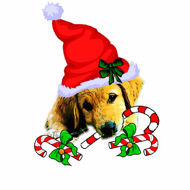 Golden Retriever Christmas Gifts Ornament (Front)