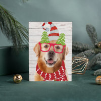 Golden Retriever Christmas Glasses Hat Scarf Funny