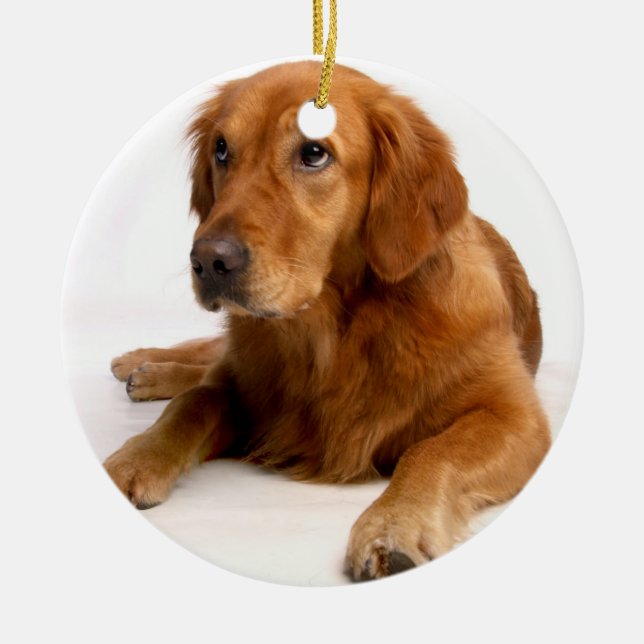Golden Retriever Christmas Ornament With Photo (Front)