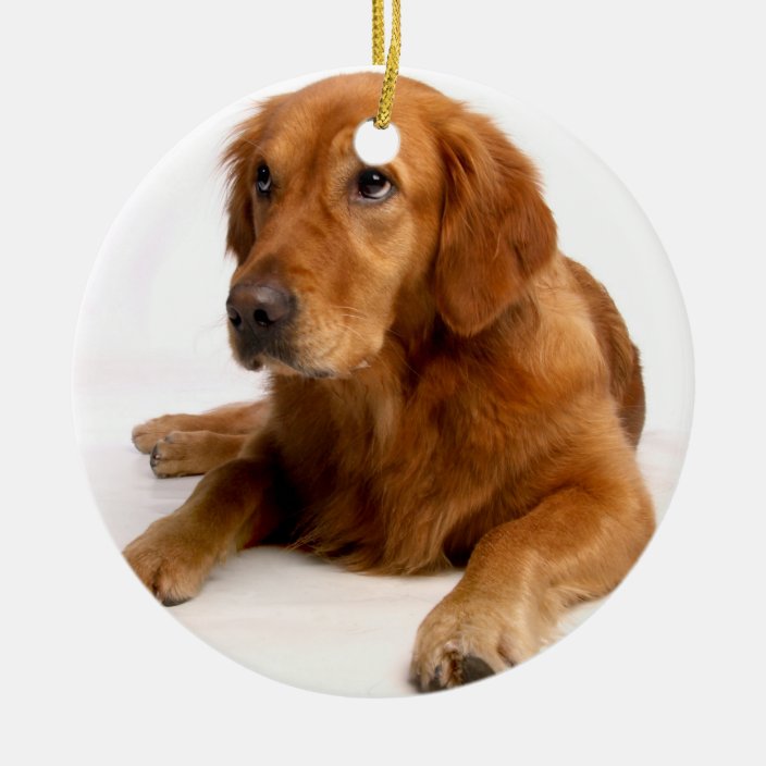 Golden Retriever Christmas Ornament With Photo | Zazzle.com