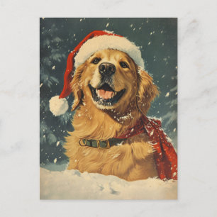 Golden Retriever Christmas  Postcard