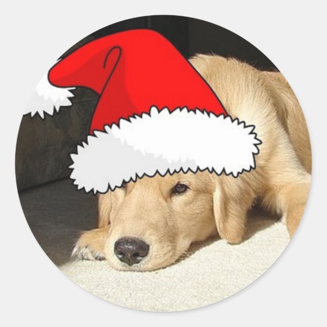 Golden Retriever Christmas Puppy Classic Round Sticker (Front)