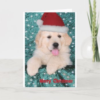 Golden Retriever Christmas Puppy Holiday Card by JennyBrice at Zazzle