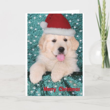 Golden Retriever Christmas Puppy Holiday Card