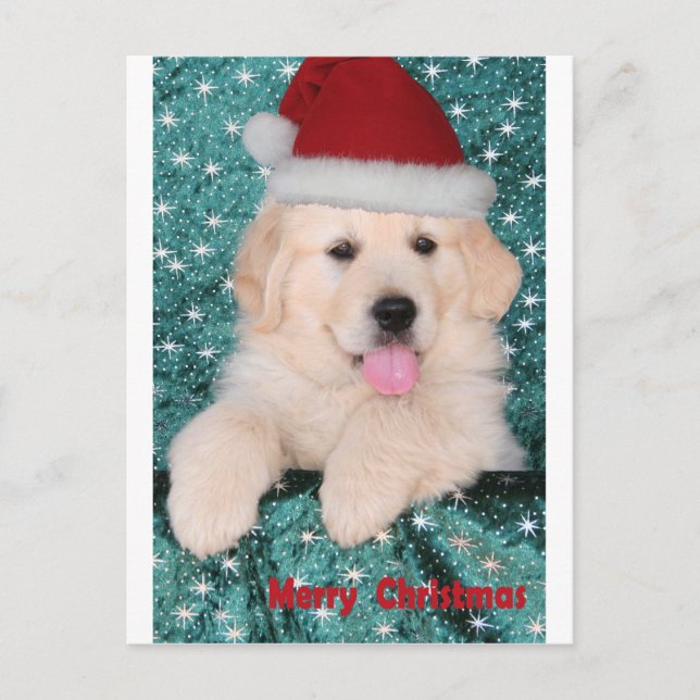 Golden Retriever Christmas Puppy Holiday Postcard (Front)