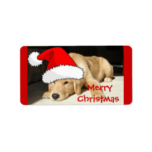 Golden Retriever Christmas Puppy Label