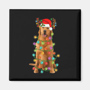 Golden Retriever Christmas Tree Lights Pajama Dog Magnet