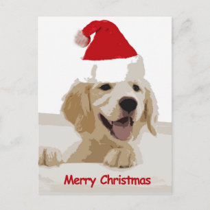 Golden Retriever Christmas with Santa Hat Holiday Postcard