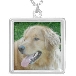 Golden Retriever Close-up Silver Plated Necklace