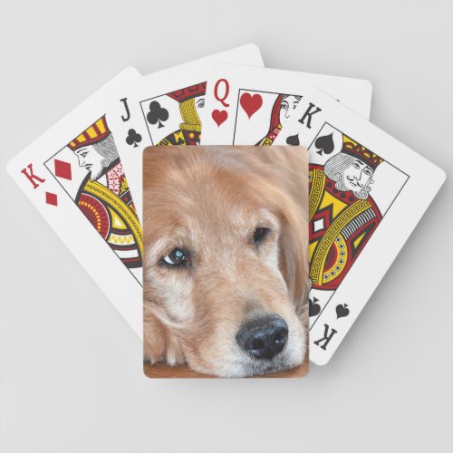 Golden Retriever Closeup Playing Cards