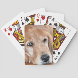 Golden Retriever Closeup Poker Cards