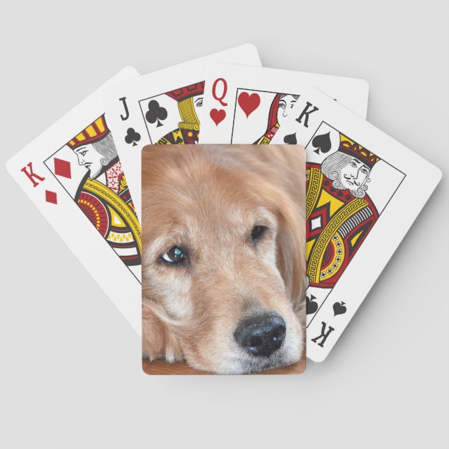 Golden Retriever Closeup Poker Cards (Back)